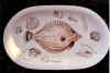 fisch.jpg (59276 Byte)